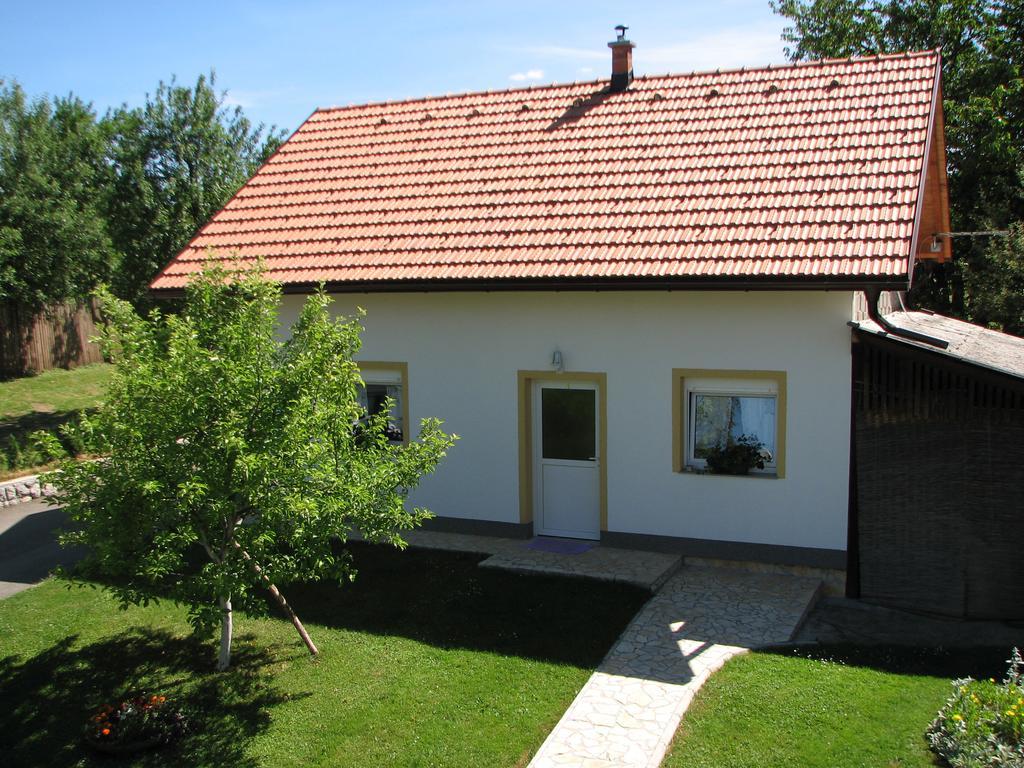 Apartment Ilija Rakovica Buitenkant foto